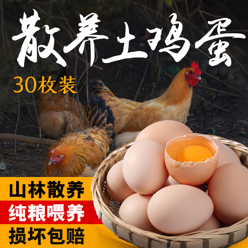 0饲料0抗激素抗生素的土鸡蛋，敢给孩子吃的放心蛋