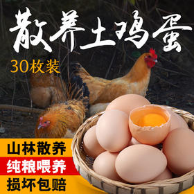 0饲料0抗激素抗生素的土鸡蛋，敢给孩子吃的放心蛋