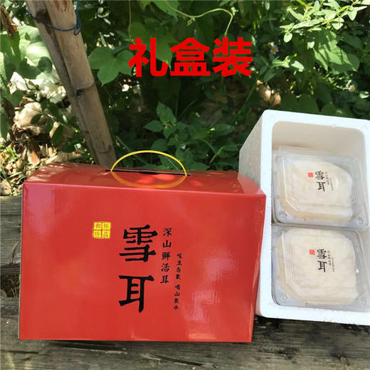 福建鲜银耳——美好生活，从鲜开始 商品图6