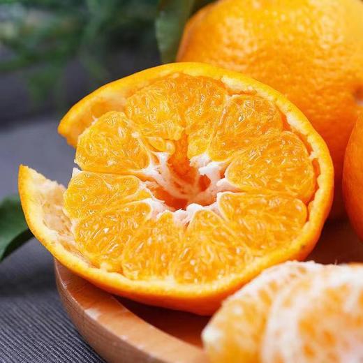 （永久下架）特级四川春见耙耙柑5斤装 商品图2