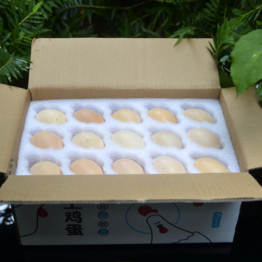 0饲料0抗激素抗生素的土鸡蛋，敢给孩子吃的放心蛋 商品图4