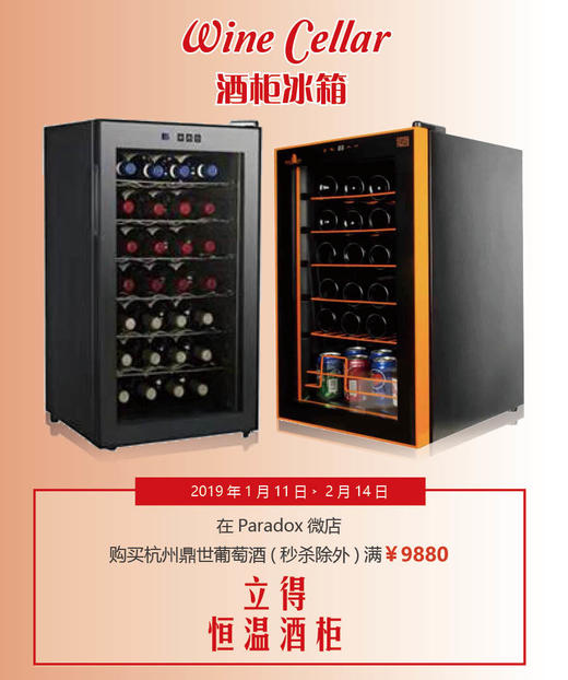 恒温立式酒柜 商品图0