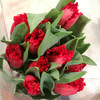 新品推荐|荷兰进口重瓣郁金香 商品缩略图1