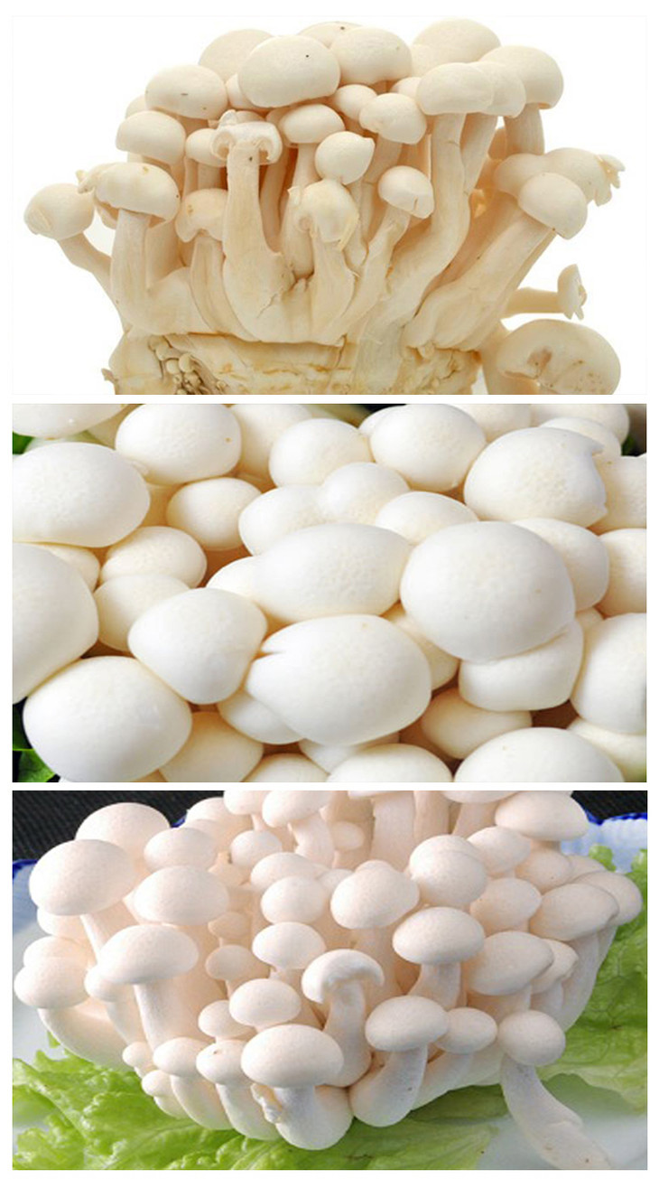 白玉菇/蟹味菇/海鲜菇 新鲜蔬菜 火锅 煲汤(蔬菜)