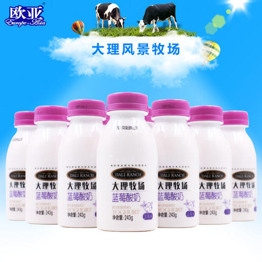 大理牧场蓝莓酸奶243g*12瓶 商品图0