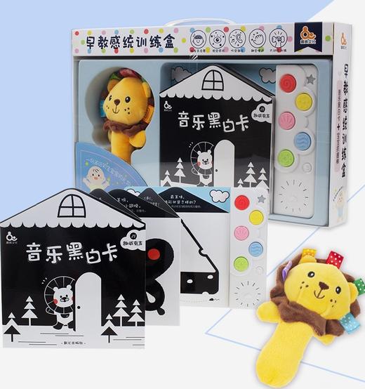 趣威文化 早教感统训练礼盒 音乐黑白卡 商品图0