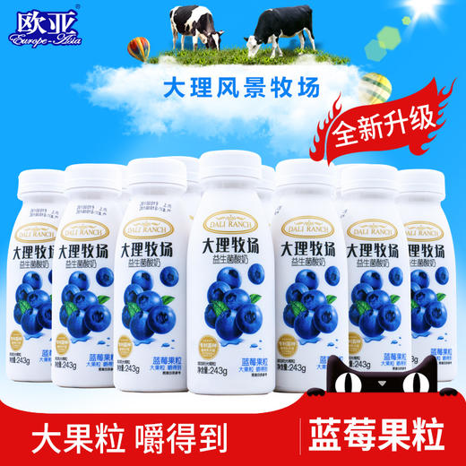 大理牧场低温果粒酸奶蓝莓果粒酸牛奶243g*12瓶 商品图0
