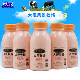 大理牧场熟酸奶243g*6瓶