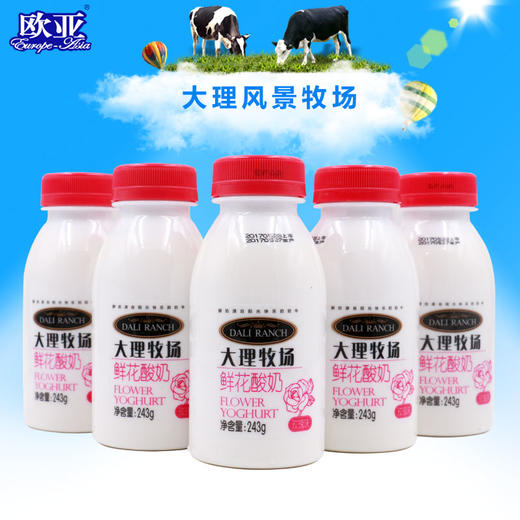 大理牧场鲜花酸奶243g*6瓶 商品图0