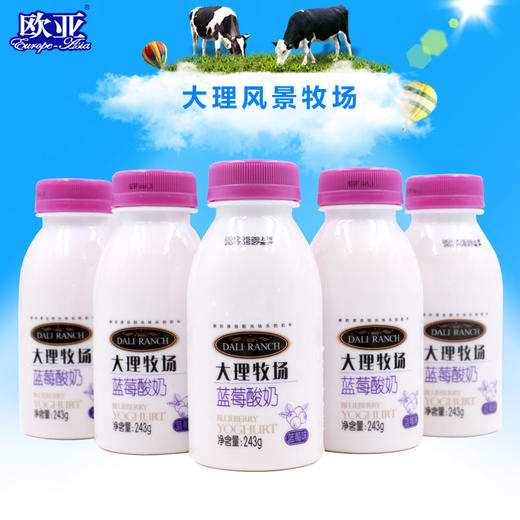 大理牧场蓝莓酸奶243g*6瓶 商品图0