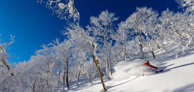 寒假 日本安比夏油高原5日滑雪之旅19年1月23日 Snowhero