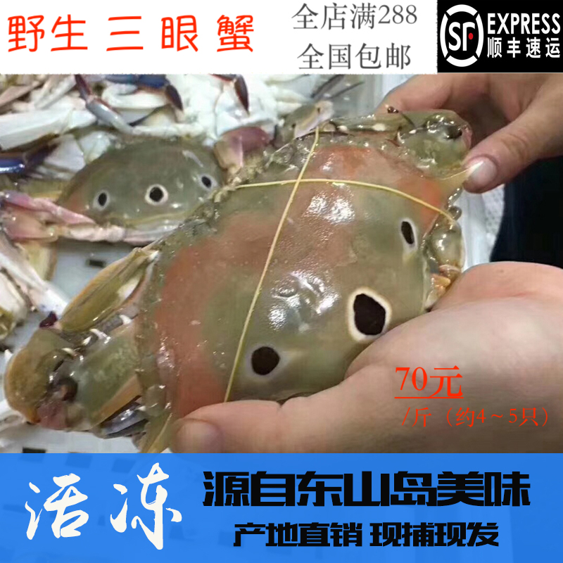 野生三眼蟹 三点蟹