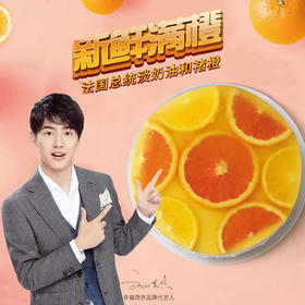 【吃过泡在果冻里的橙子蛋糕吗？】限时发售褚橙慕斯蛋糕，Q弹嫩滑好吃不胖 慕斯橙橙1磅188元/2磅218元（高州）