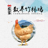 皖南黄鸡（童子鸡+黄油老母鸡）○ 带言 商品缩略图2