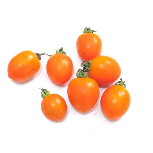 【黄果|整箱|预售】圣女果 樱桃番茄 黄果(净重约6.5斤)【1月20日—21日提货】【2日内提货】 商品图0