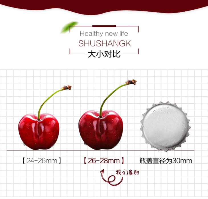 【特级】智利特级lapins拉宾斯车厘子 sjd级大果 黑车