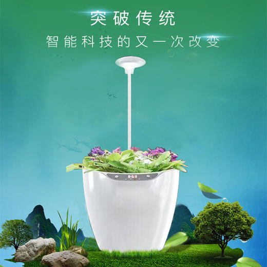 绿色植物智能创意花盆塑料自动吸水懒人水培花盆家用室内盆栽 商品图0