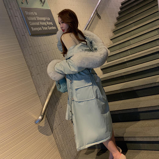余潇潇2019春装新款可拆卸狐狸毛领90%白鸭绒收腰防风羽绒服女 商品图1