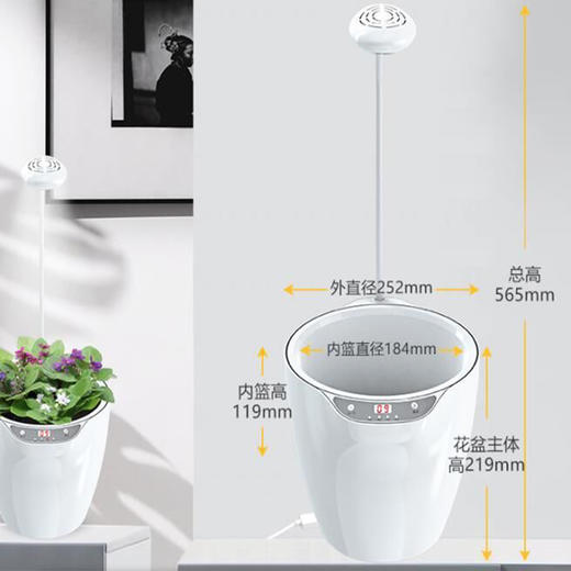 绿色植物智能创意花盆塑料自动吸水懒人水培花盆家用室内盆栽 商品图1
