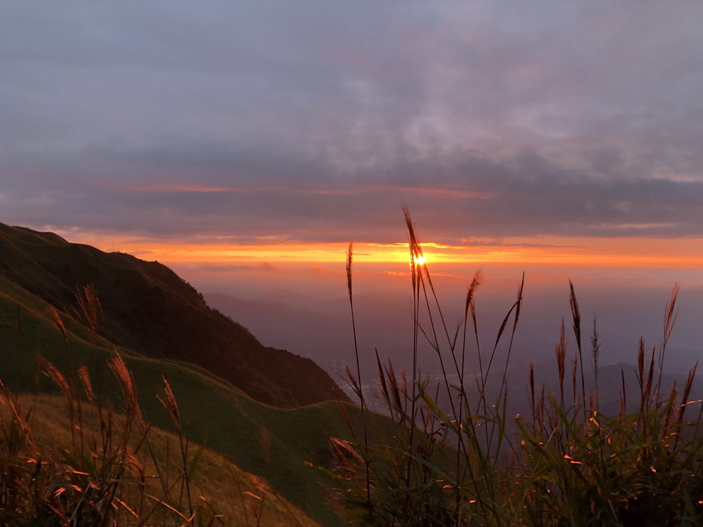 烧鸡供货商品创建验证0001001