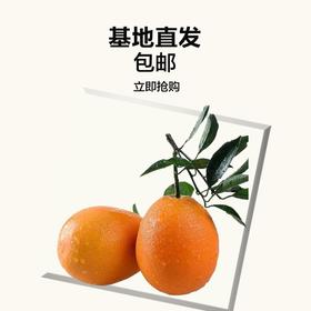【惊爆预售】【17-20日下单    21-22日发货】纽荷尔橙礼盒2.5kg
