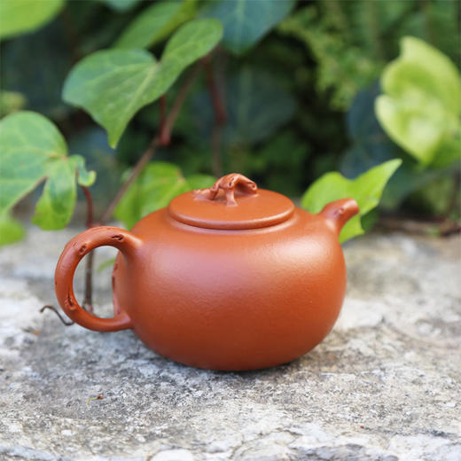【报春梅花壶】范锡军大师手工紫砂壶 商品图2