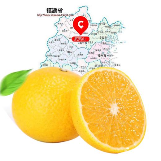 建阳桔柚礼盒9斤装 商品图0