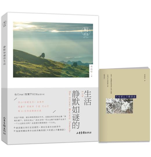 《桐山：静默如谜的生活》：庆山（安妮宝贝）、余秀华、周嘉宁、苏枕书等11位作家联袂打造！为你分享独一无二的生活方式与*态度的生活理念。 商品图0