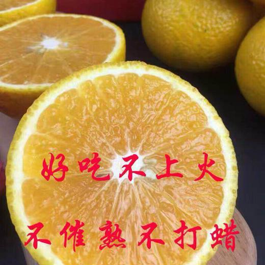 建阳桔柚礼盒9斤装 商品图1
