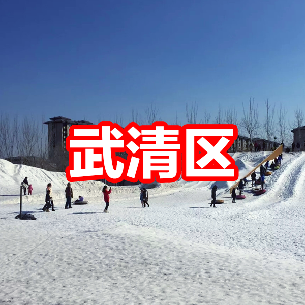 冰雪旅游文化节滑雪场套票(旋转木马 悠波球 旋转雪圈 雪圈),武清区