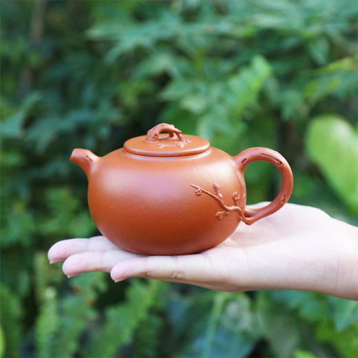 【报春梅花壶】范锡军大师手工紫砂壶 商品图0