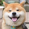 发按时ka 商品缩略图0