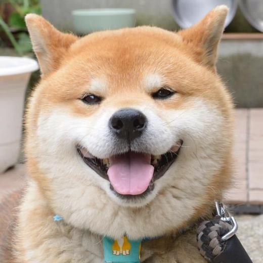 发按时ka 商品图0
