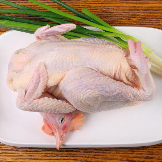 苏州苏食冰鲜苏北童子鸡(0.9-1.1KG/只） 商品图0