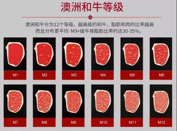 【颜派生活】米其林最爱 澳洲罗宾逊岛纯血m9和牛西冷牛排重庆主城8区