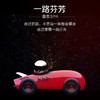 F1 Max负离子氧吧 | 香氛扩香器家居办公车载香水空气净化器赛车摆件 商品缩略图2