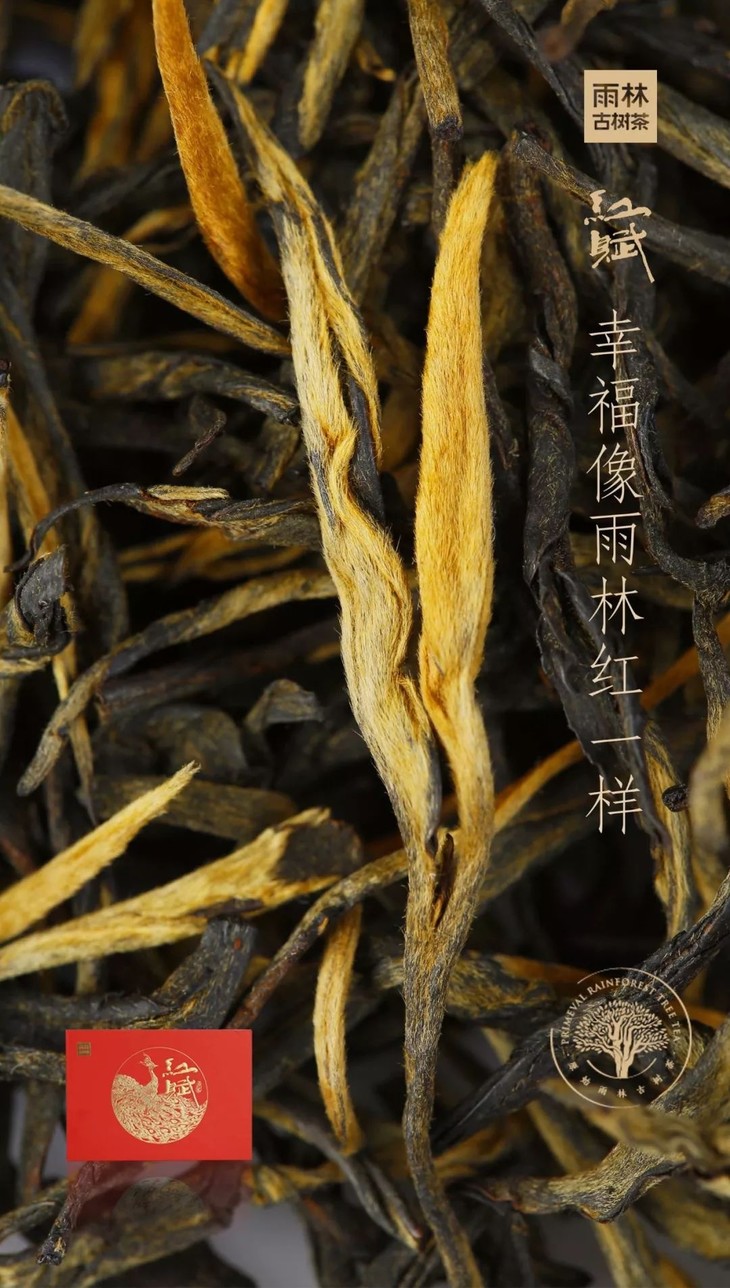 雨林古树茶.红赋