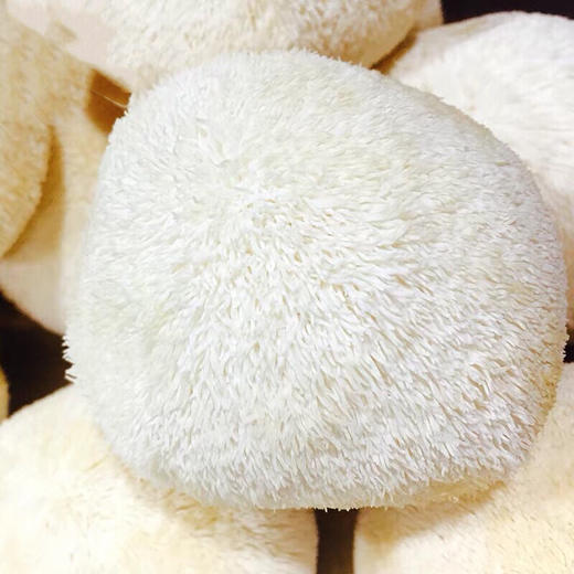 （永久下架）暖冬鲜菇滋补煲汤套餐 商品图2