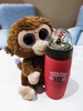 TEDDY&FRIENDS 泰迪景观杯 商品缩略图3