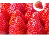 2磅秒杀！草莓抹茶千层2磅 - 22颗草莓的香甜 商品缩略图4