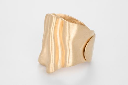 The Biomirph ring 商品图2