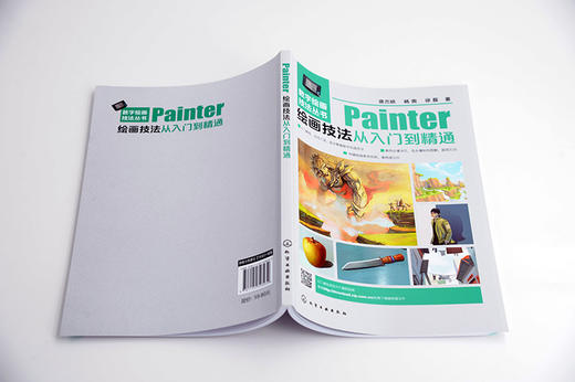 数字绘画技法丛书--Painter绘画技法从入门到精通 商品图3