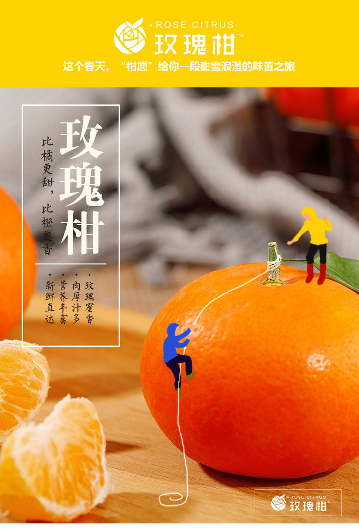 现摘玫瑰柑5斤装约16个送从化宝趣玫瑰世界门票