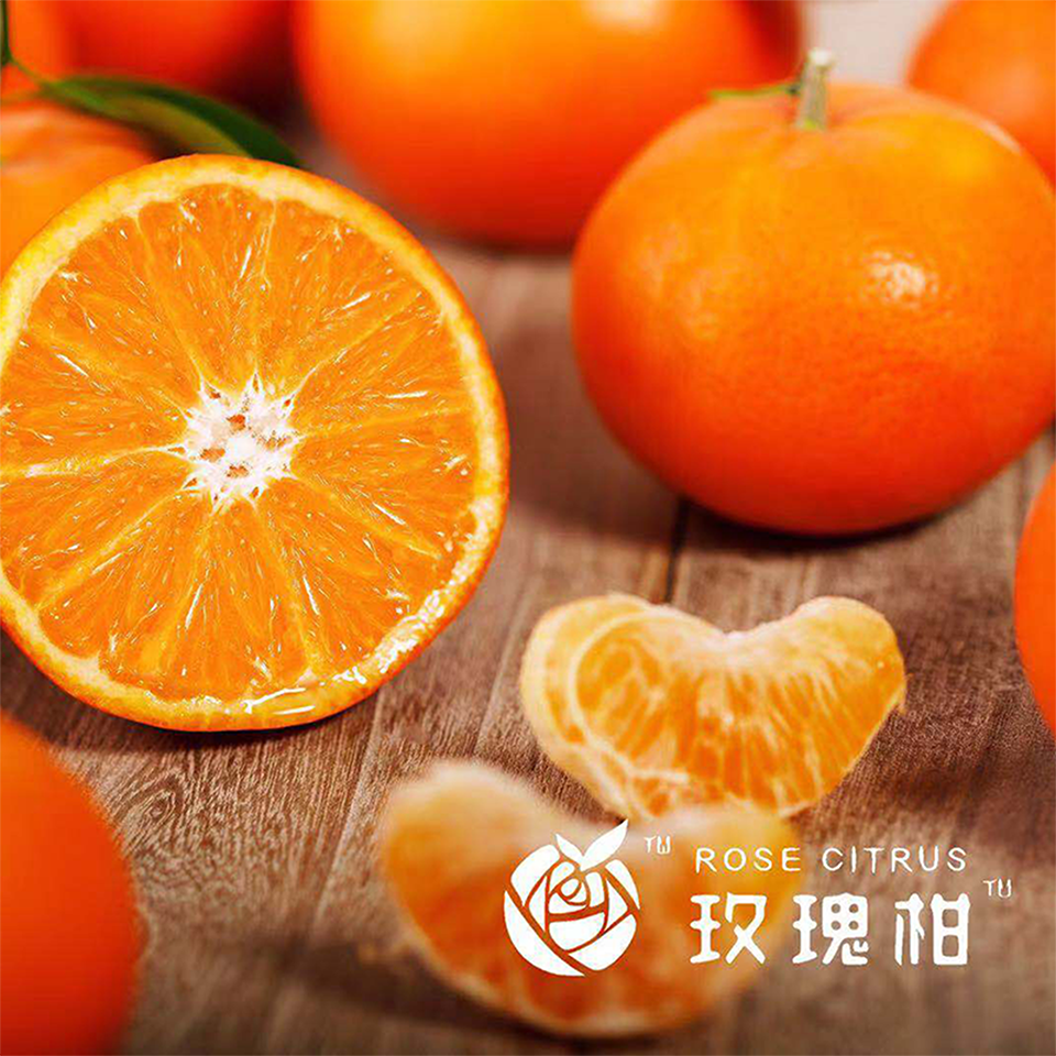 现摘玫瑰柑5斤装约16个送从化宝趣玫瑰世界门票
