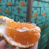 耙耙柑春见，特惠。丑橘都是它的名字，果皮又薄又软，橙黄圆润的果皮，吃起来让人惊艳不已，它是柑，吃多了不上火。 商品缩略图1