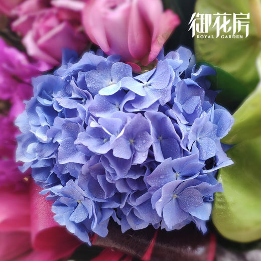 富贵锦簇 · 开业花篮 商品图2