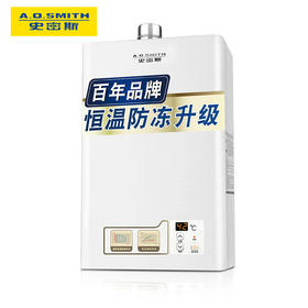 A.O.史密斯（A.O.Smith） 16升恒温防冻升级型燃气热水器家用天然气VT0