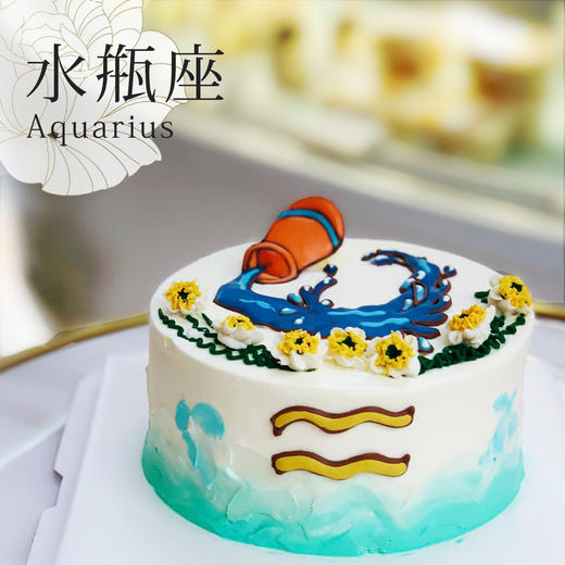 贝家烘焙佛山店  | 水瓶座 蛋糕 商品图1