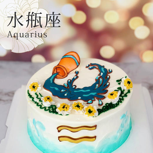 贝家烘焙佛山店  | 水瓶座 蛋糕 商品图0