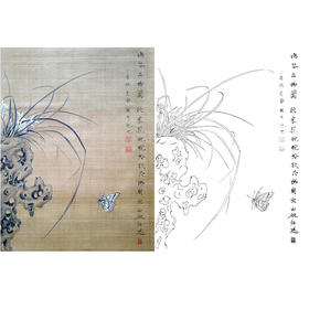 楚彦春复古风工笔花鸟白描底稿-兰花-斗方小品册页-CY29